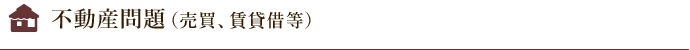 不動産問題（売買・賃貸借）