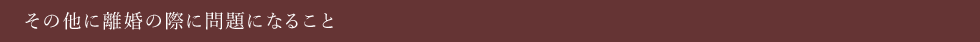 その他に離婚の際に問題になること